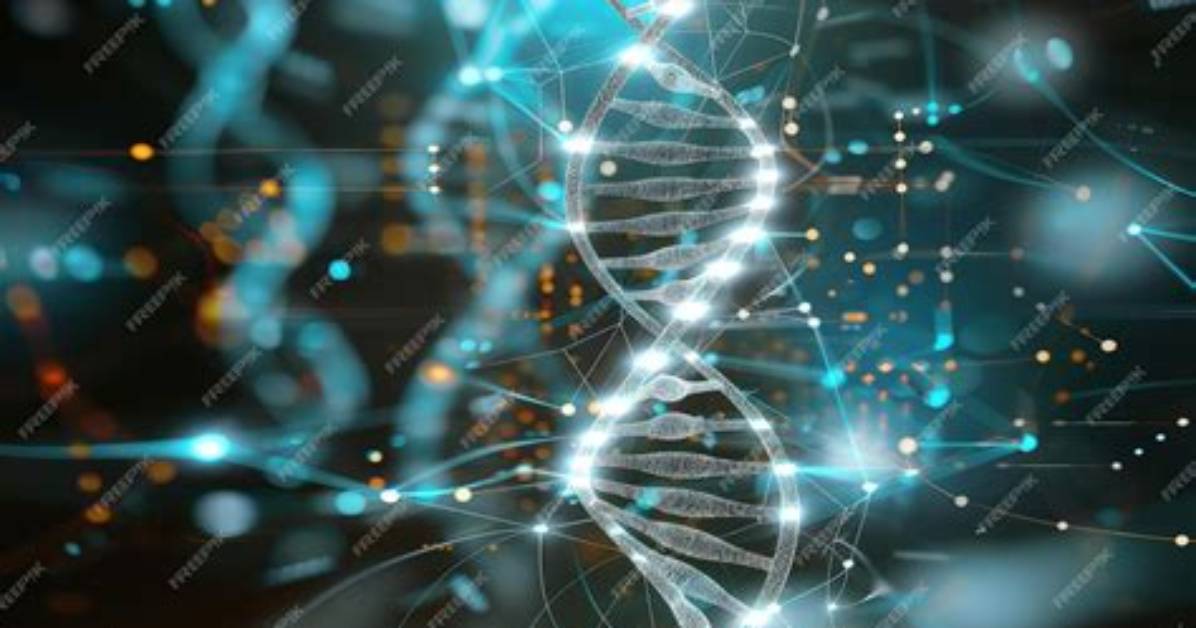 Is Digitized Dna Compressed?