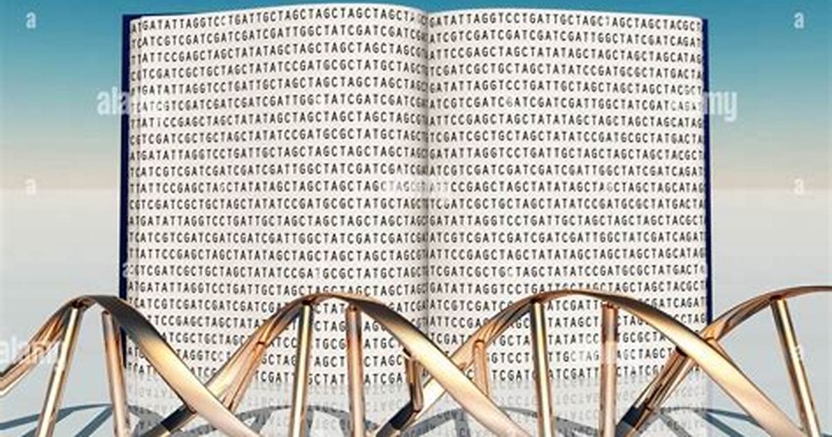 Is Dna a Book