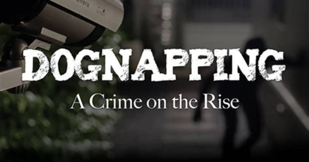 Is Dognapping a Crime?