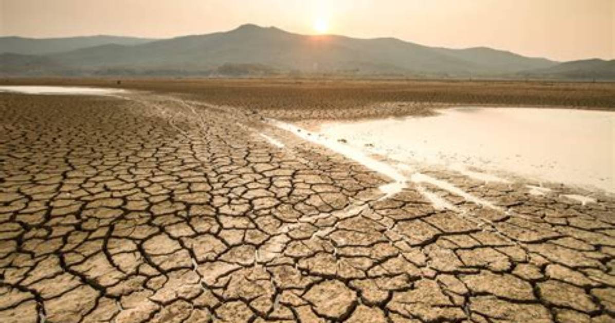 Is Droughts Bad for the Environment?