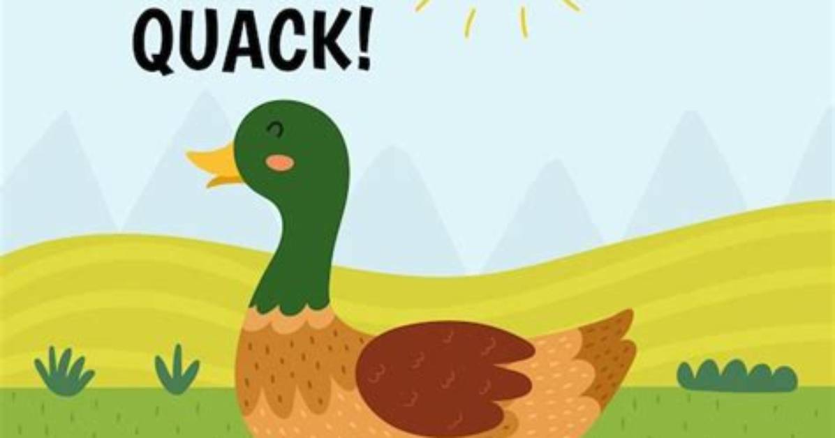 Is Duck a Quack?