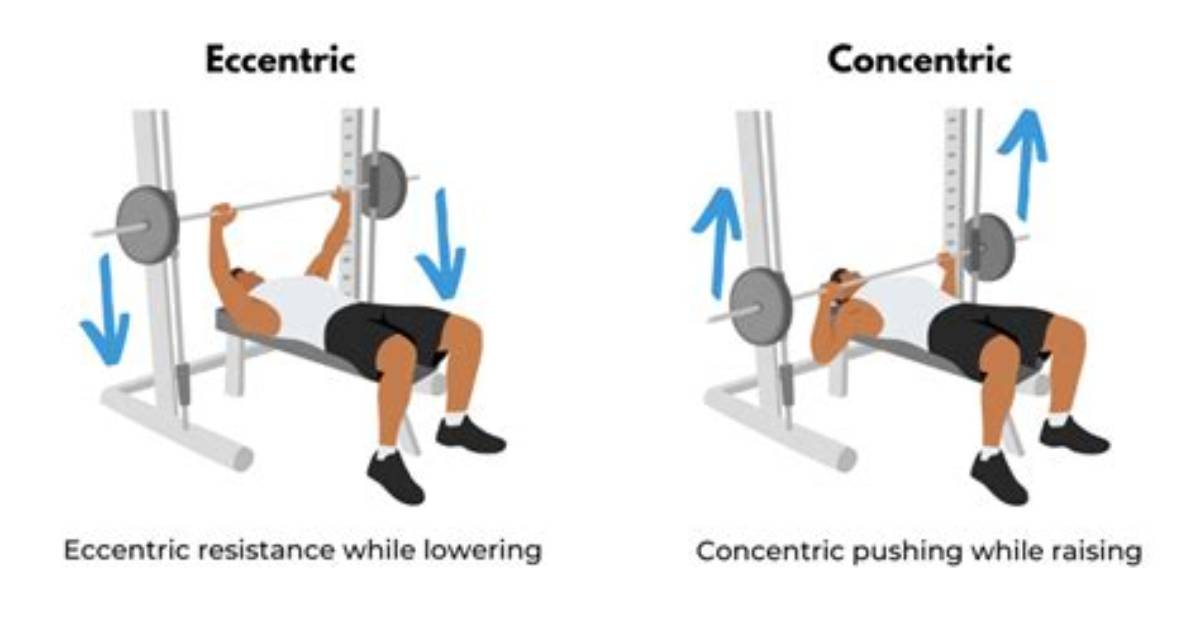 Is Eccentric Exercise Good or Bad?