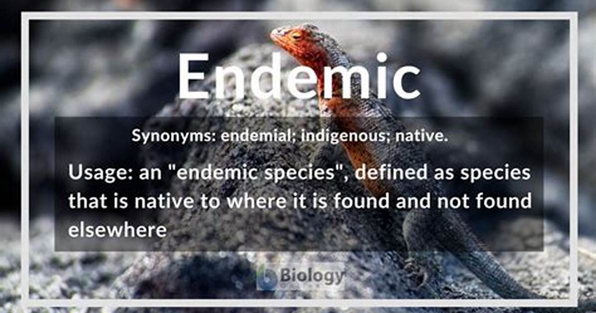 Is Endemicity a Word?