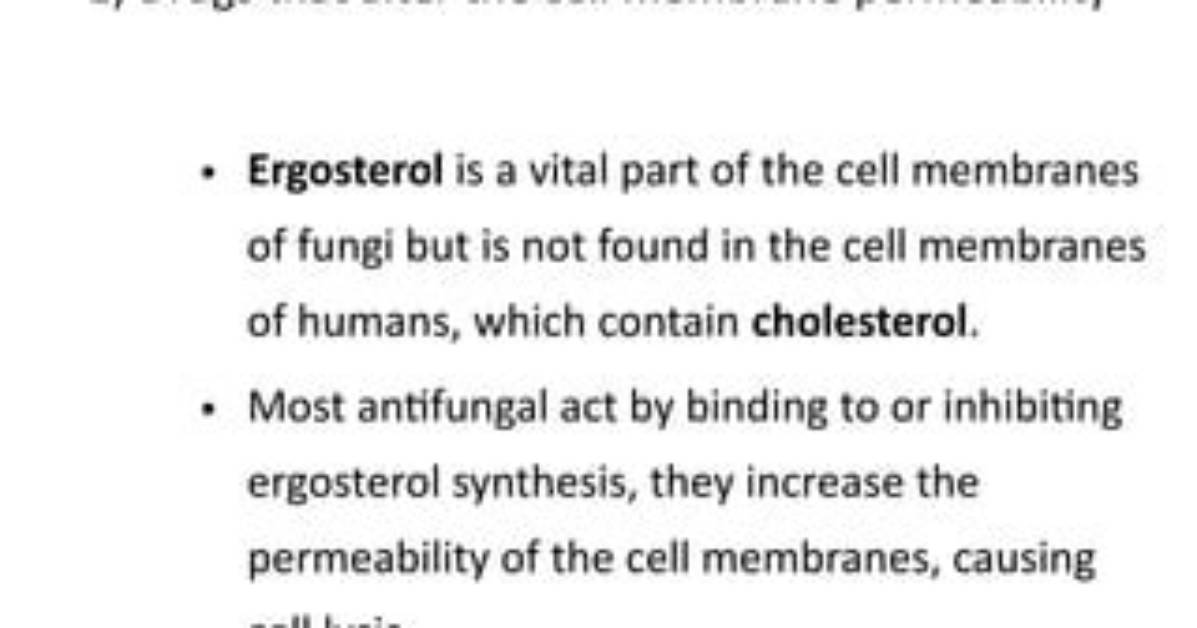 Is Ergosterol Found in Humans?