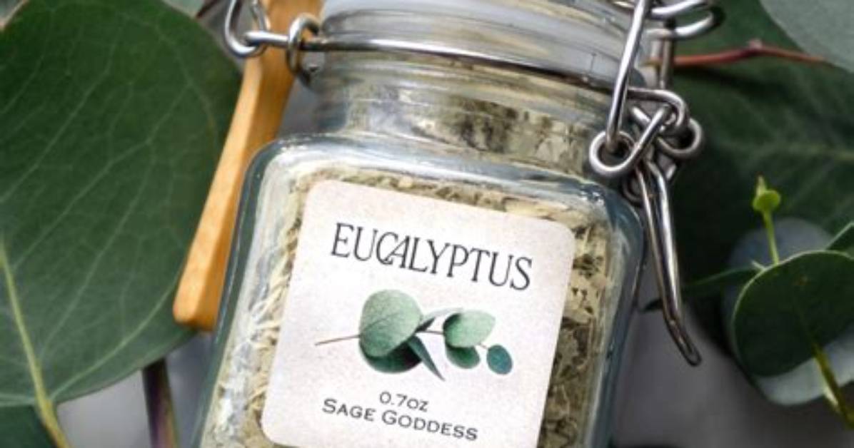 Is Eucalyptus a Herb? | Contextresponse. Com