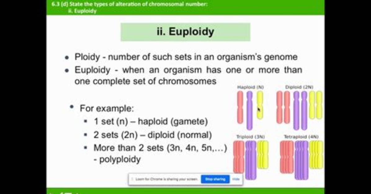 Is Euploidy a Mutation?