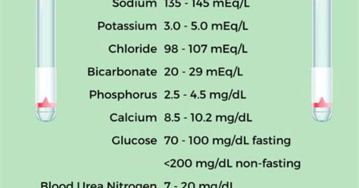 Is Fasting Required for Renal Function Panel