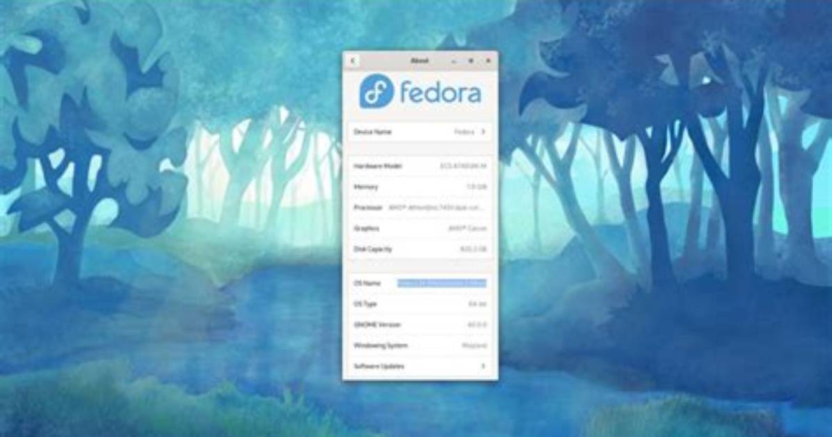 Is Fedora Good for Programming?