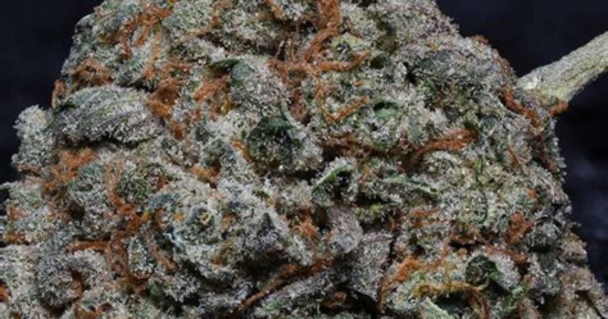 Is Fire Og Good