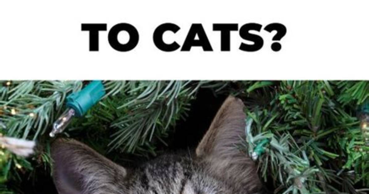 Is Flocking Toxic to Cats?