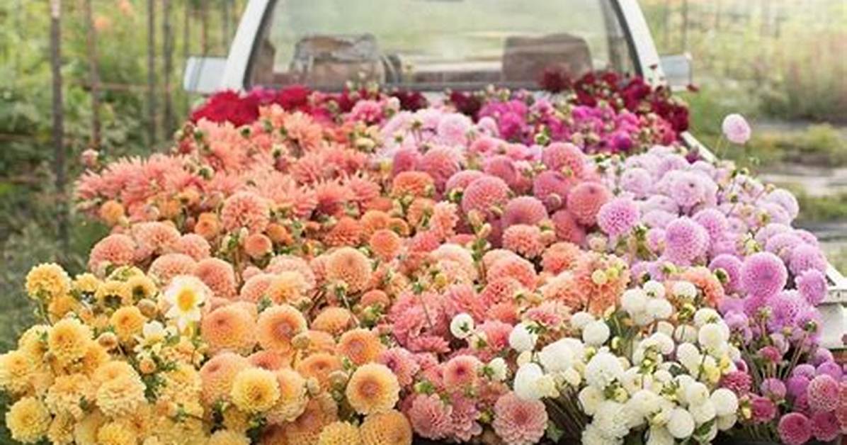 Is Floret a Flower?