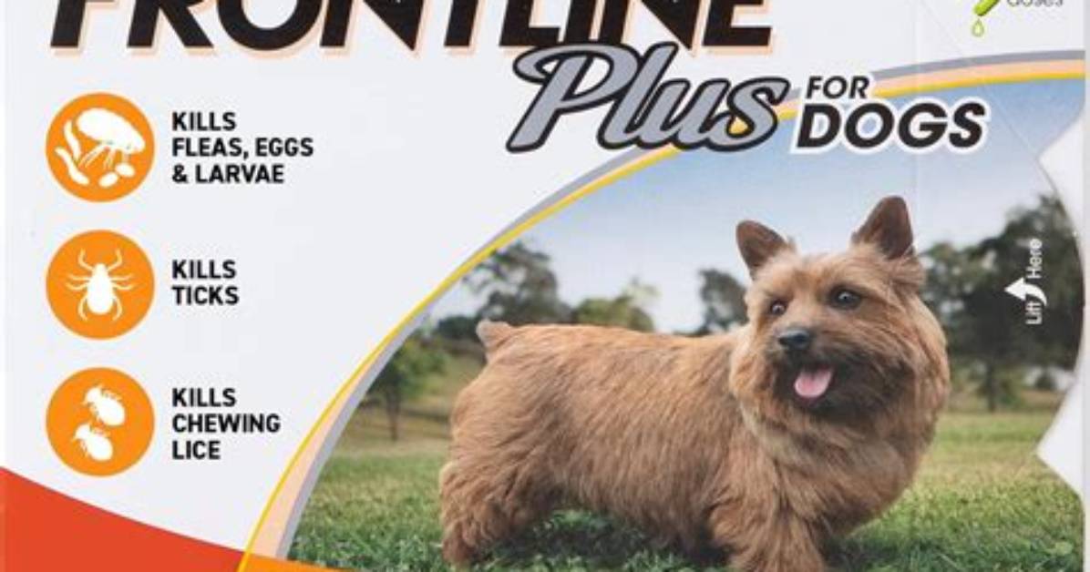 Is Frontline Plus over the Counter