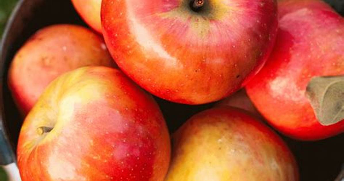 Is Gala Apple Sweet? | Contextresponse. Com