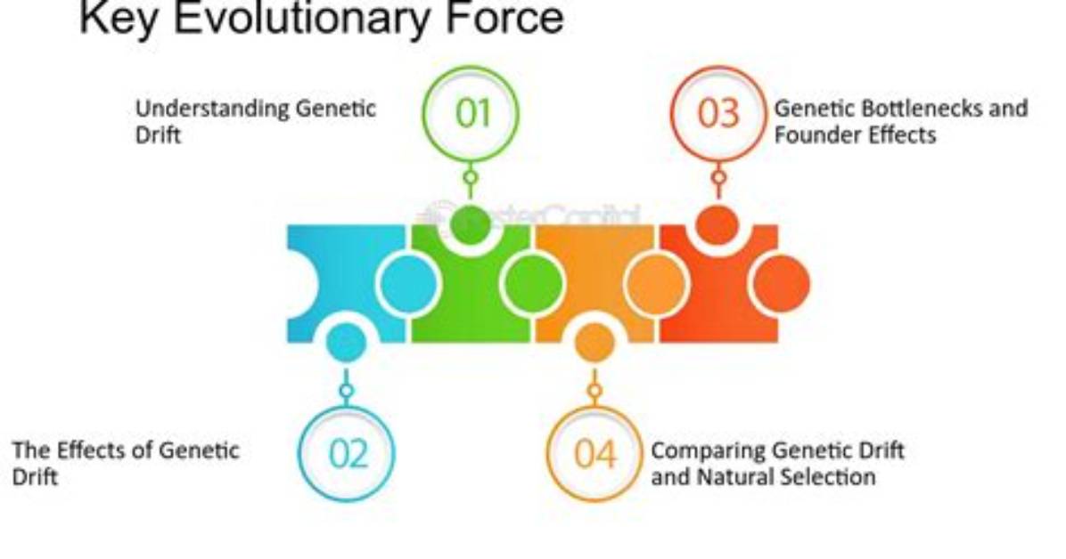 Is Genetic Drift an Evolutionary Force