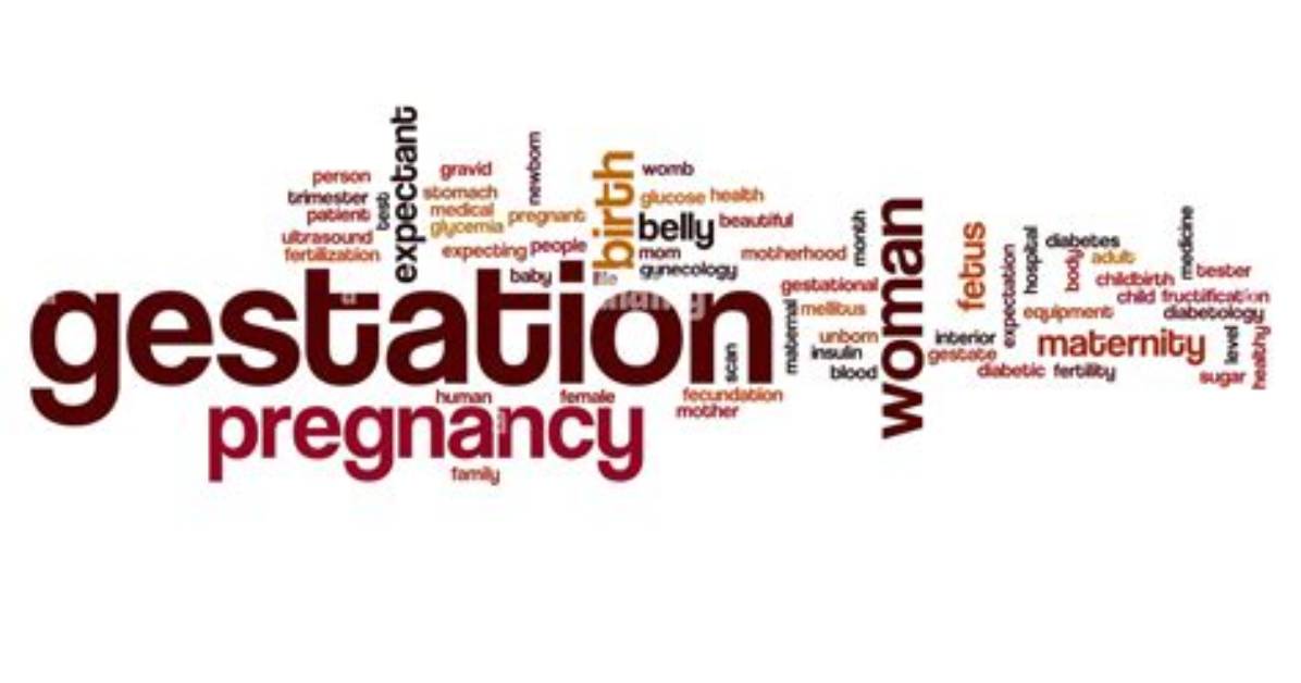 Is Gestation a Word?