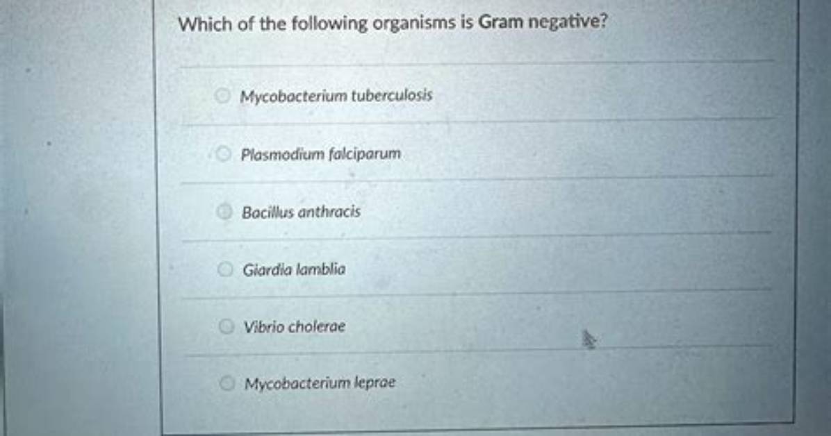 Is Giardia Gram Negative