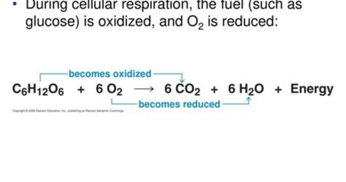 Is Glucose Oxidized or Reduced?