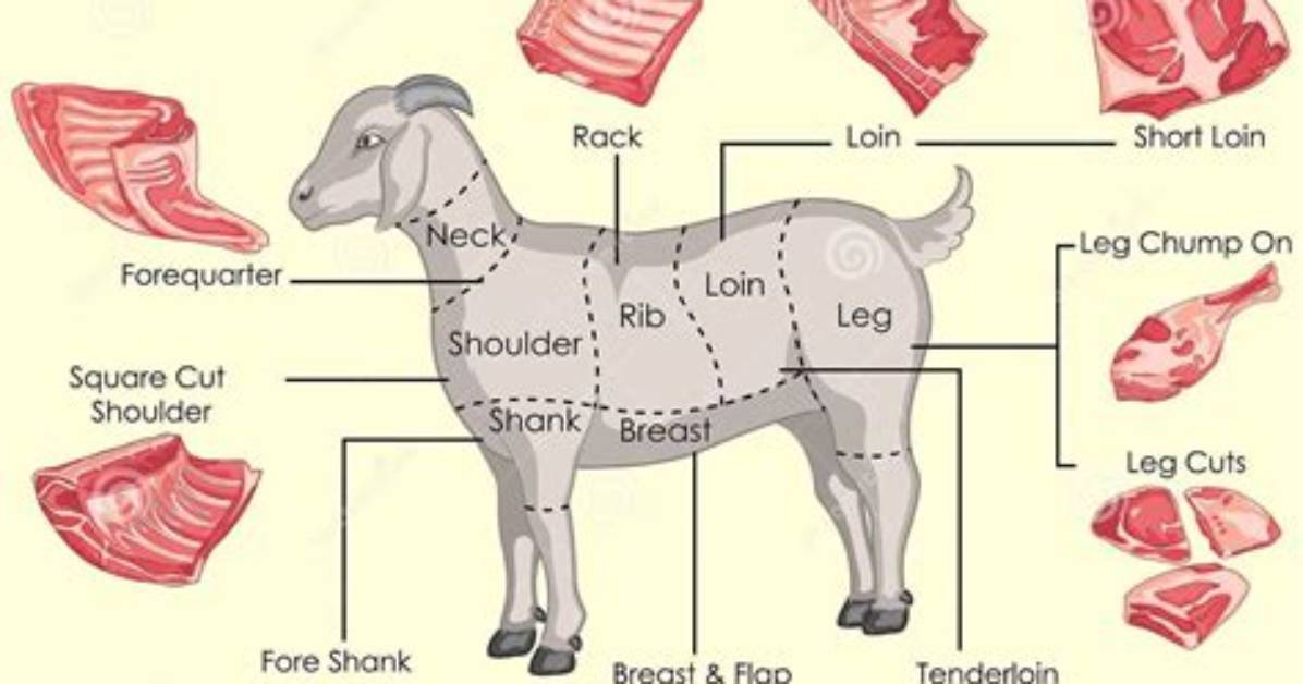 Is Goat Meat Mutton?