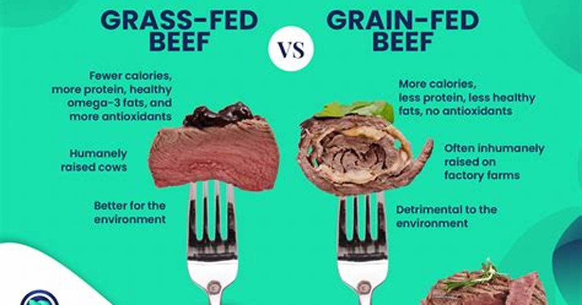 Is Grass Fed Beef More Tender