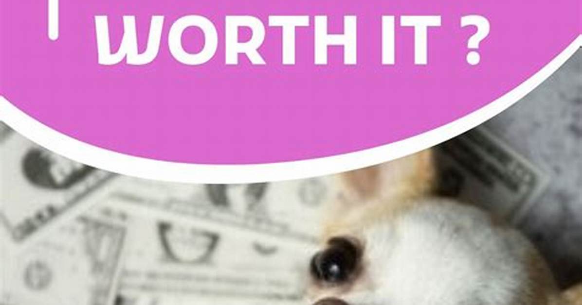Is Having a Dog Worth It