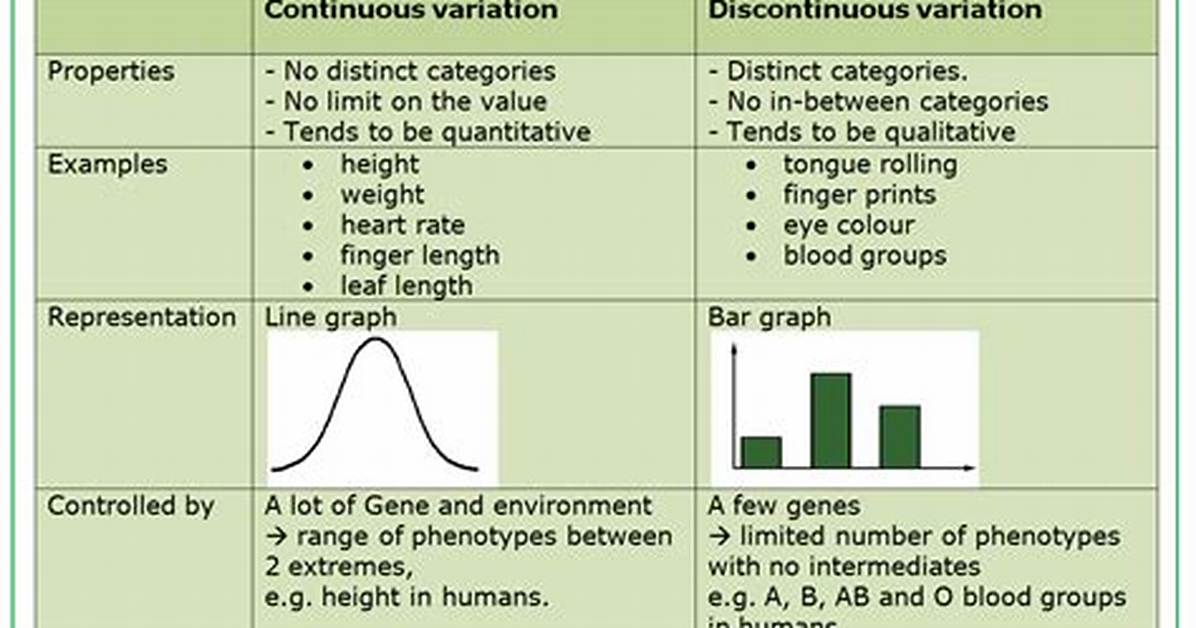 Is Heart Rate Continuous or Discontinuous Variation?