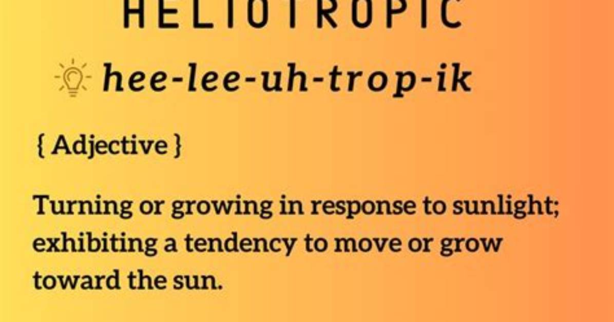 Is Heliotropic a Word?