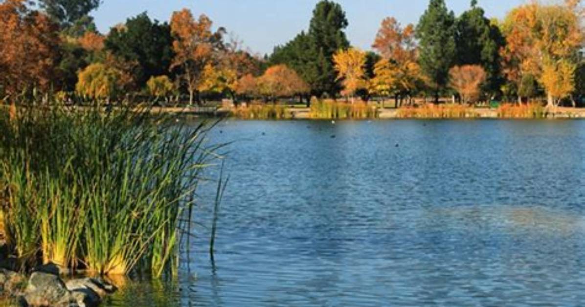 Is Hellyer Park Open?
