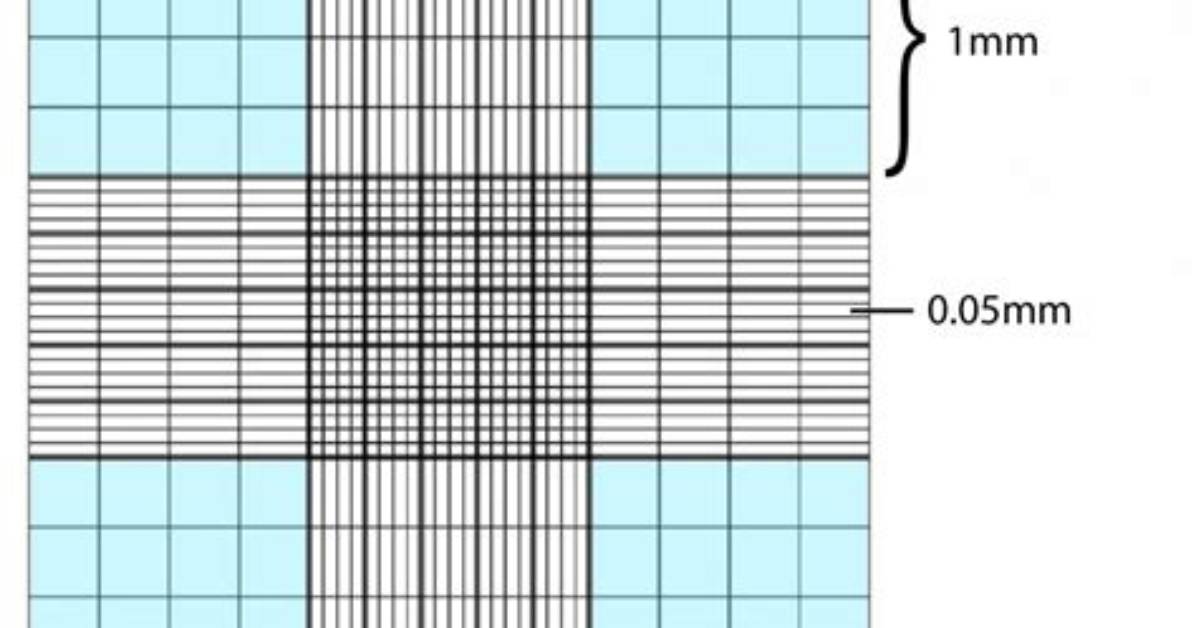 Is Hemocytometer a Word?