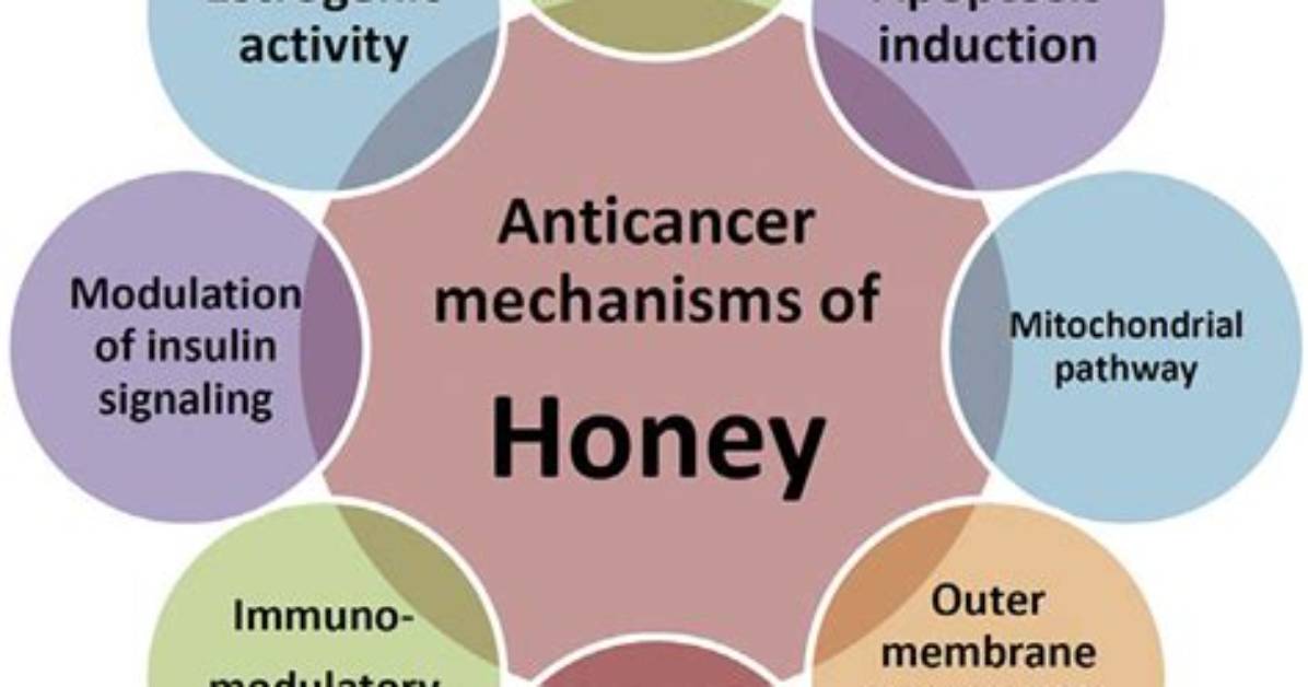 Is Honey an Anticancer
