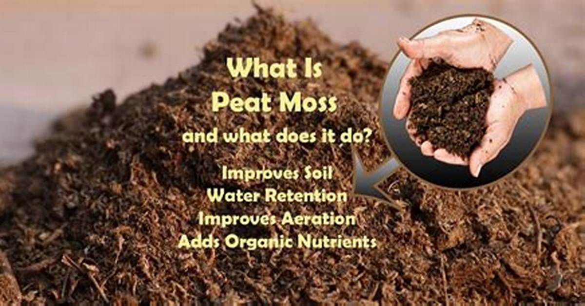 Is Humus and Peat the Same