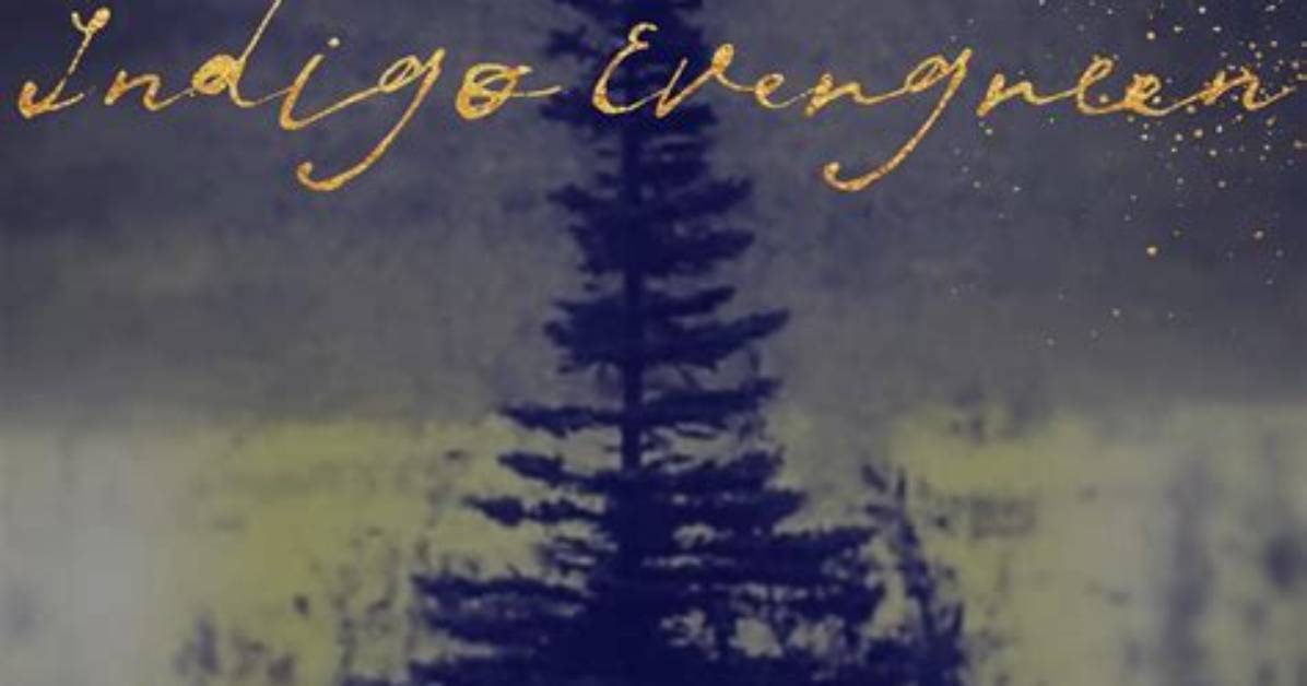 Is Indigo an Evergreen