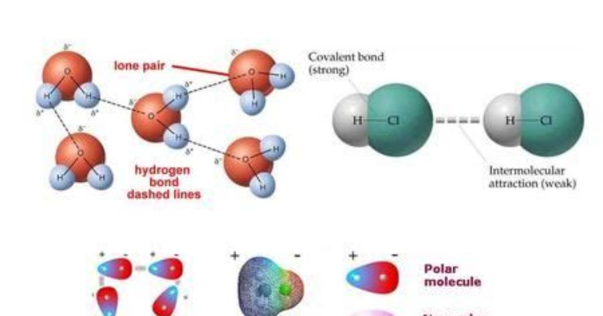 Is Intermolecular a Word?