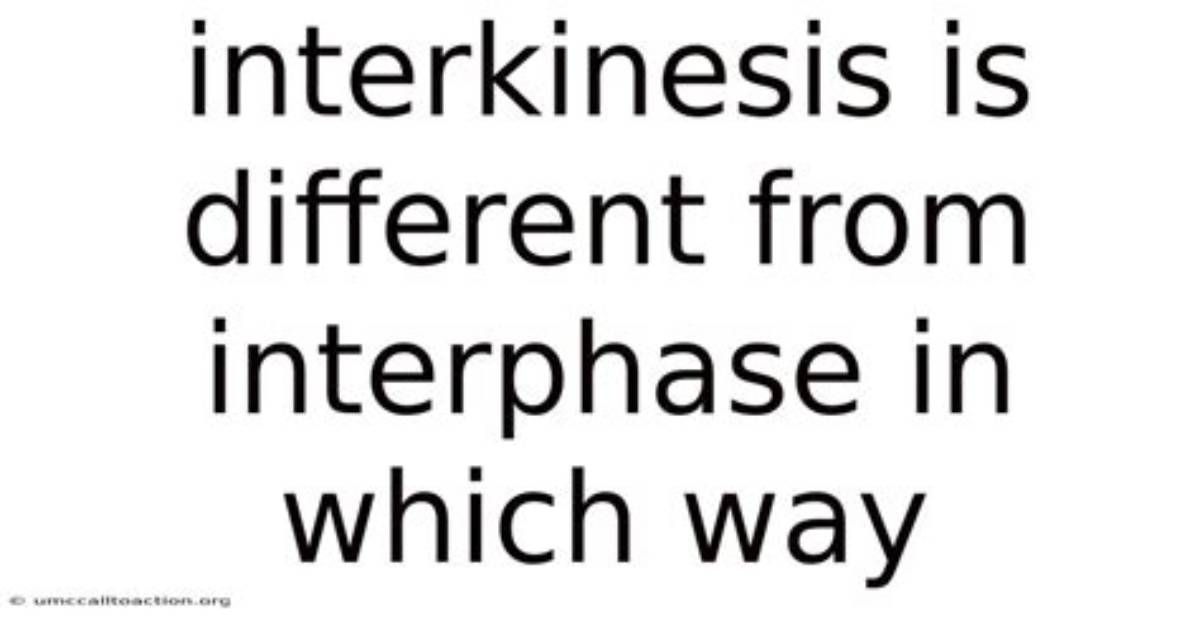 Is Interphase Different from Interkinesis?