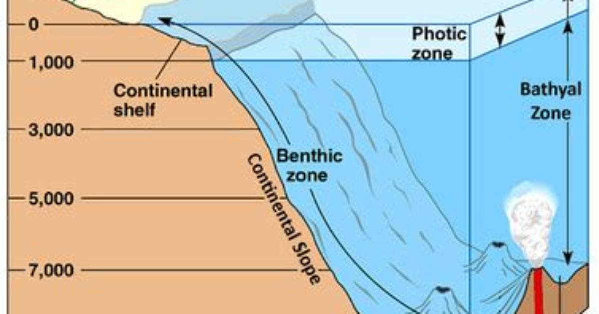 Is Intertidal Zone Depth Range?
