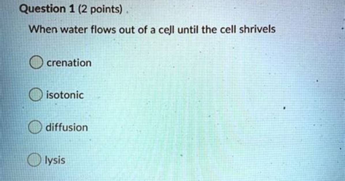 Is It Called When a Cell Shrivels?