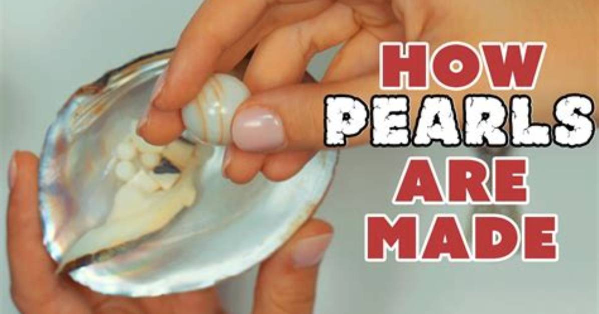 Is It Possible to Find a Pearl in an Oyster?