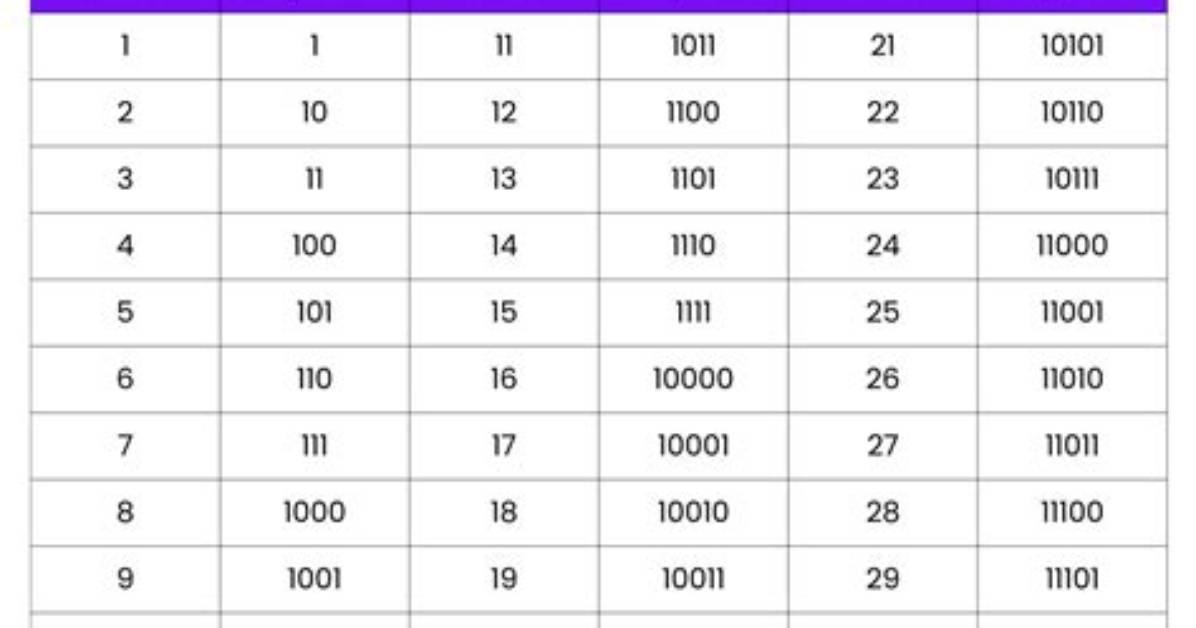 Is It Possible to Program in Binary?