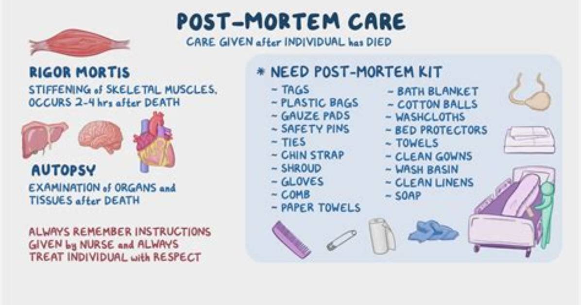 Is It Post Mortem or Postmortem?