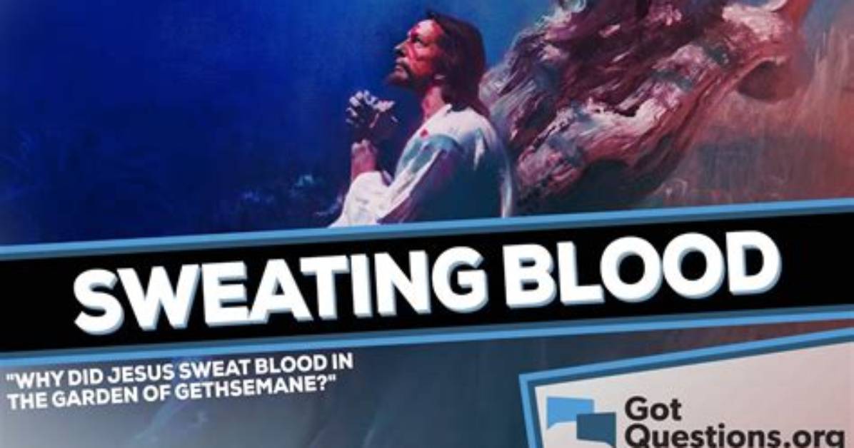 Is It Sweat or Sweated?