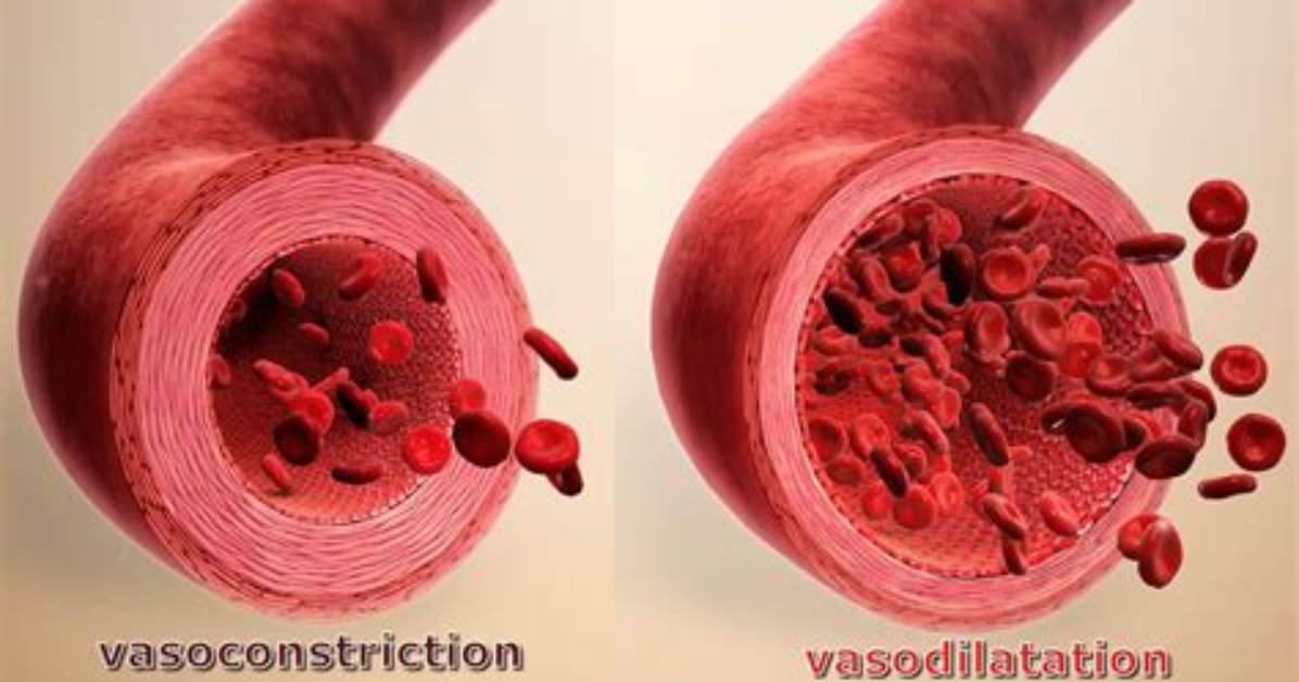 Is It Vasodilation or Vasodilatation?