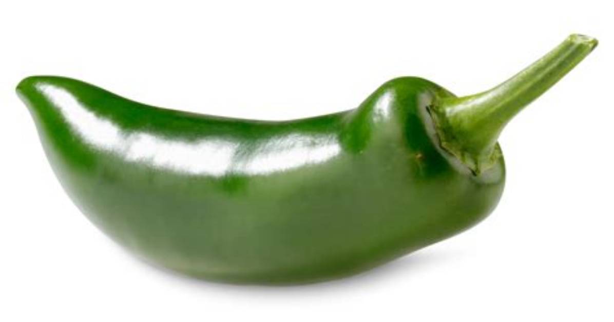 Is Jalapeno a Pepper