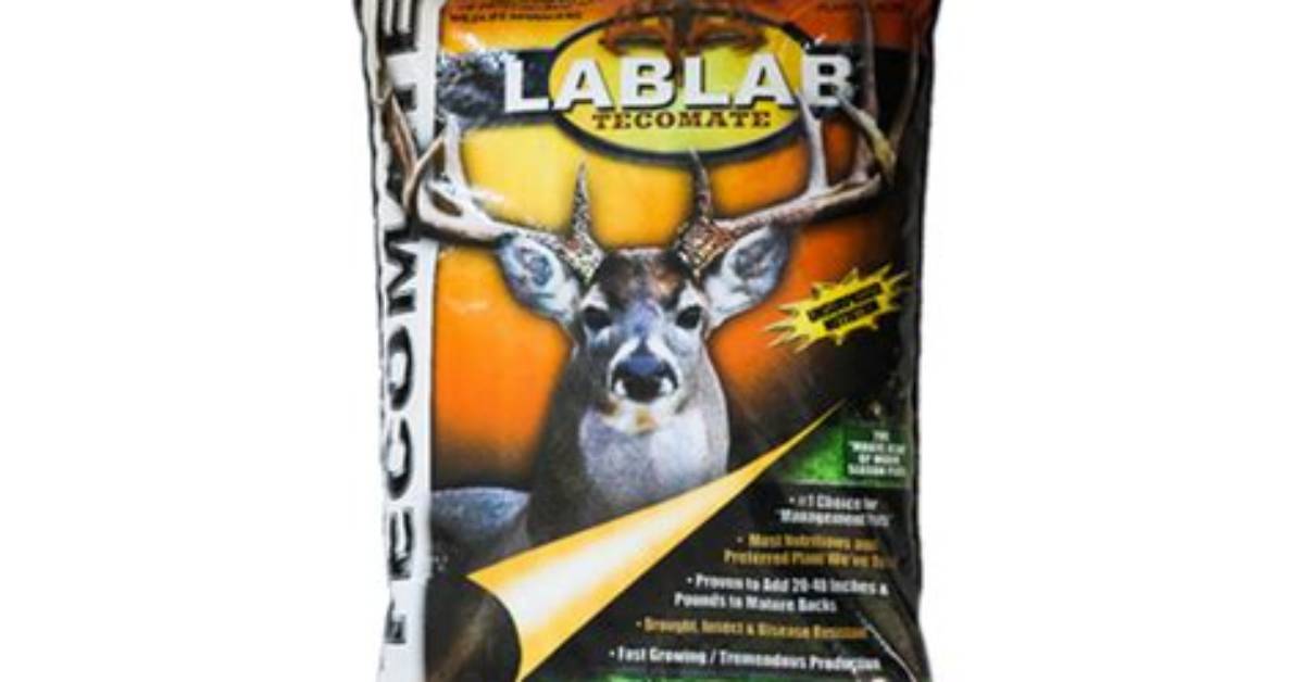 Is Lablab Good for Deer?