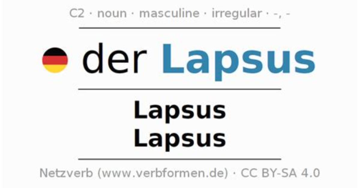 Is Lapsus a Noun?