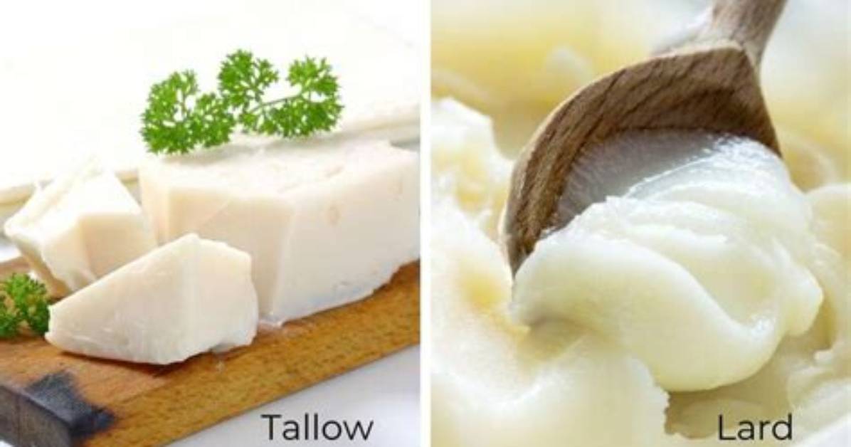 Is Lard the Same as Tallow?