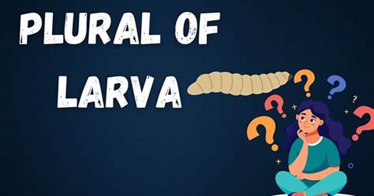 Is Larvae Singular or Plural