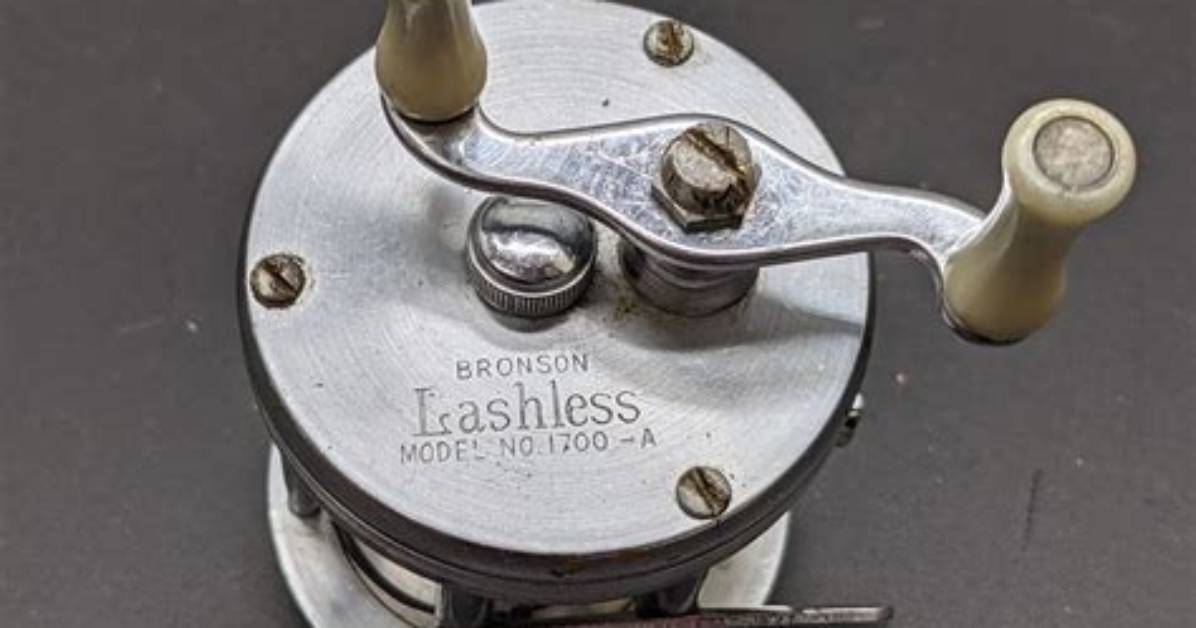 Is Lashless a Word?