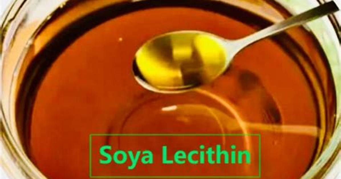 Is Lecithin Halal