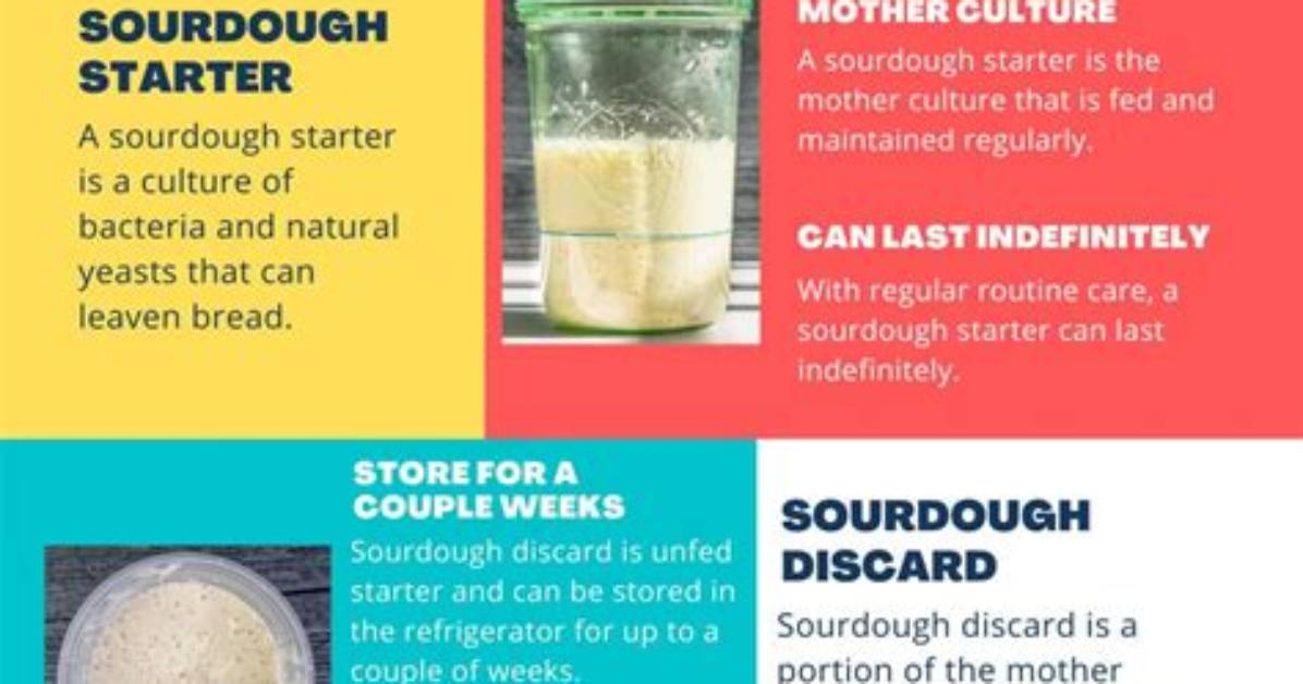 Is Levain the Same as Sourdough Starter
