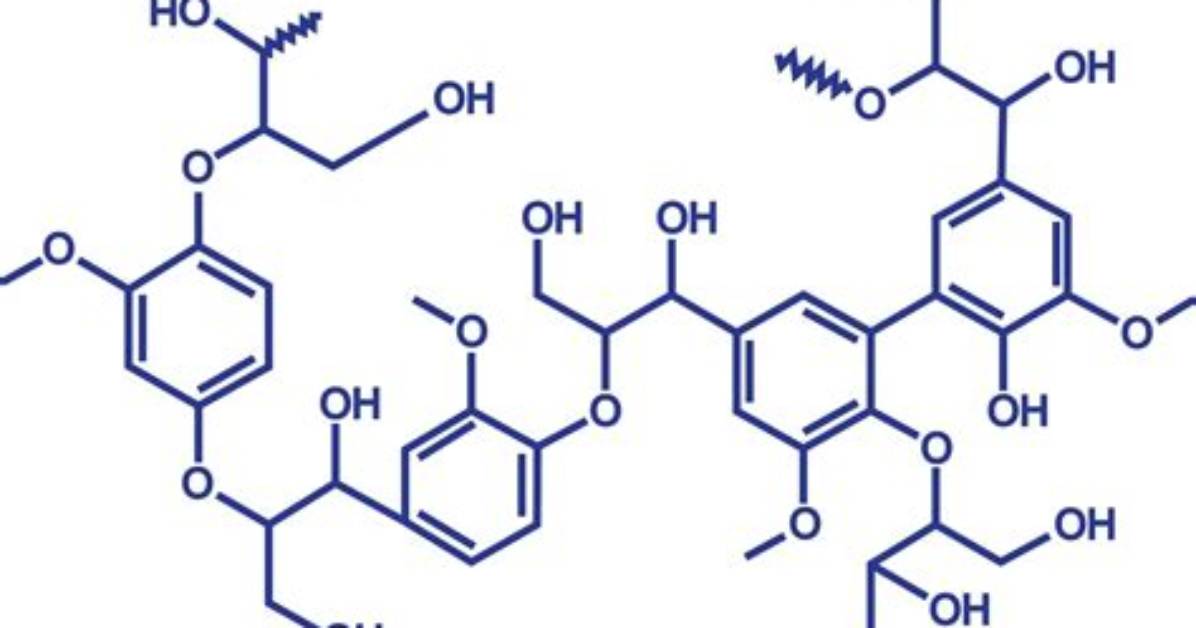 Is Lignin Edible