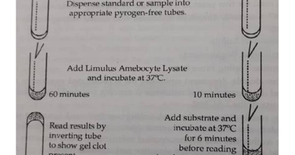 Is Limulus Amebocyte Lysate Test?